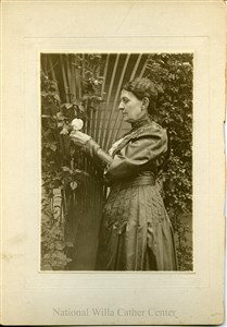 Image description is not available for PHO-4-W689-287